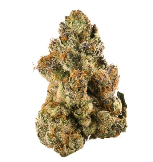 Bud Bar | Tortola Gelato