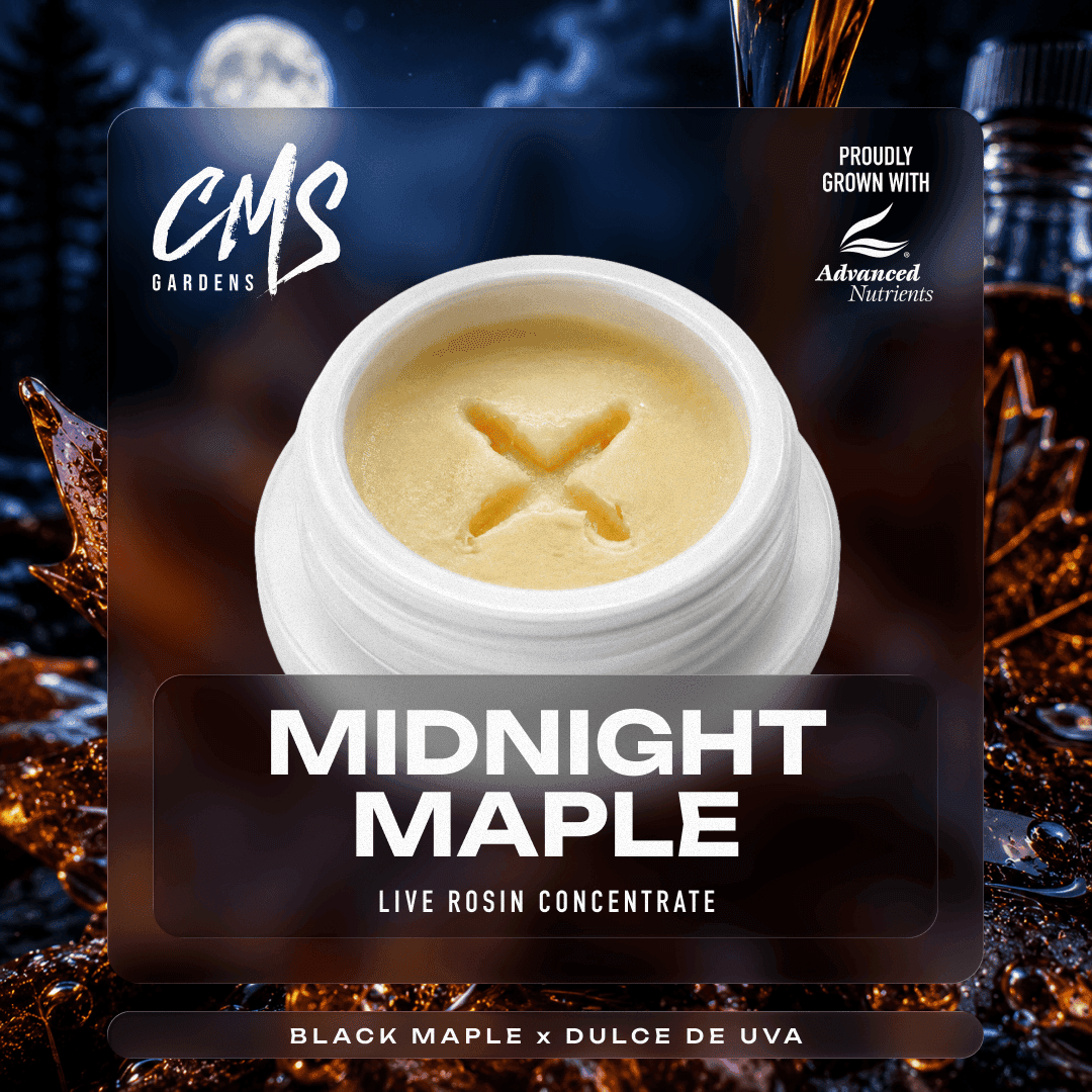 Midnight Maple - LR