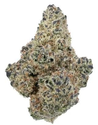 Northern Lights (I)