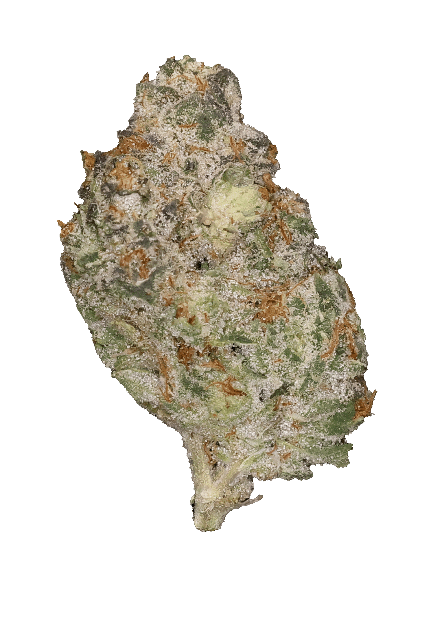 Arctic Mints