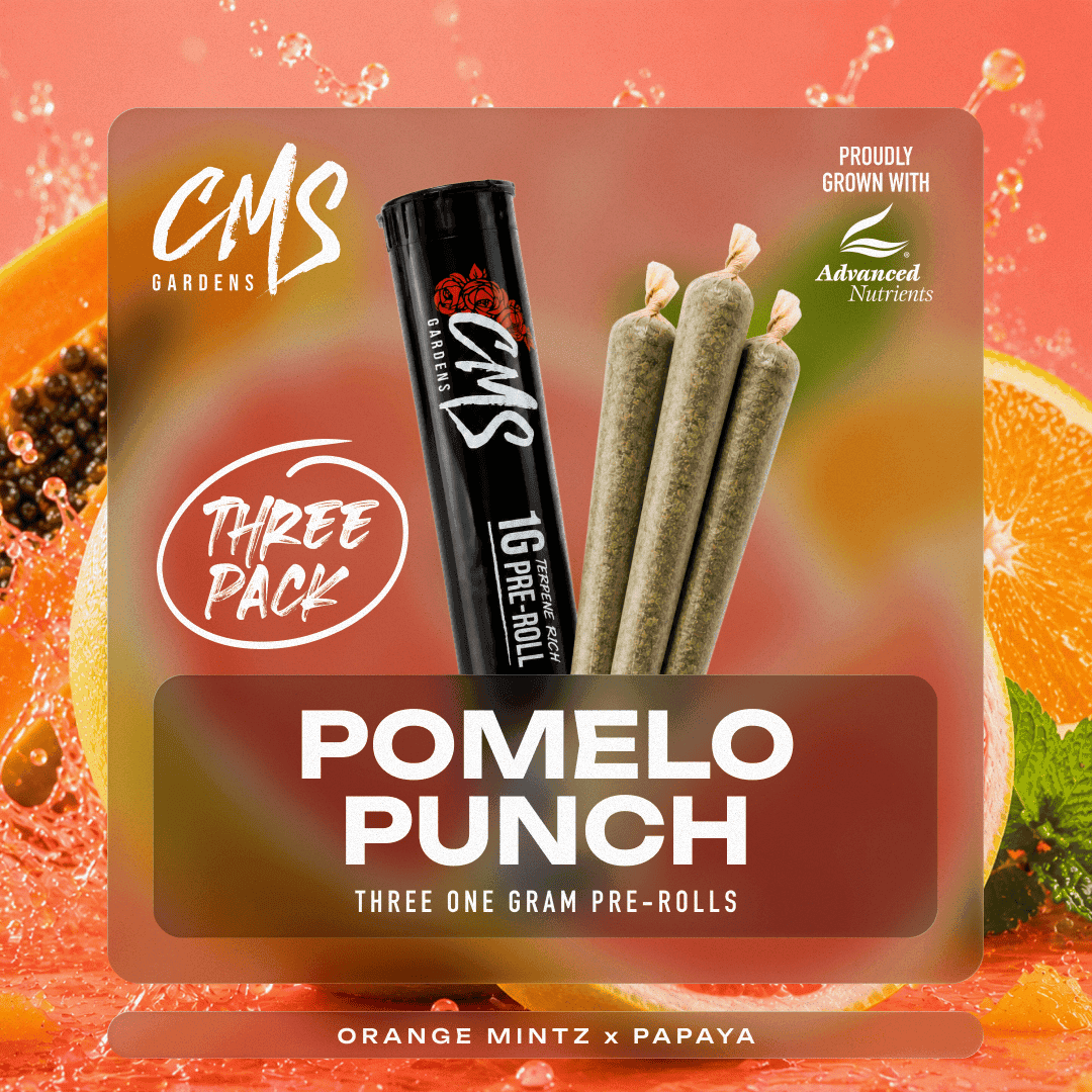 Pomelo Punch x 3pk