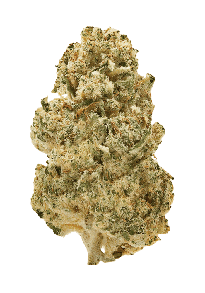 Papayamosa | Bud Bar