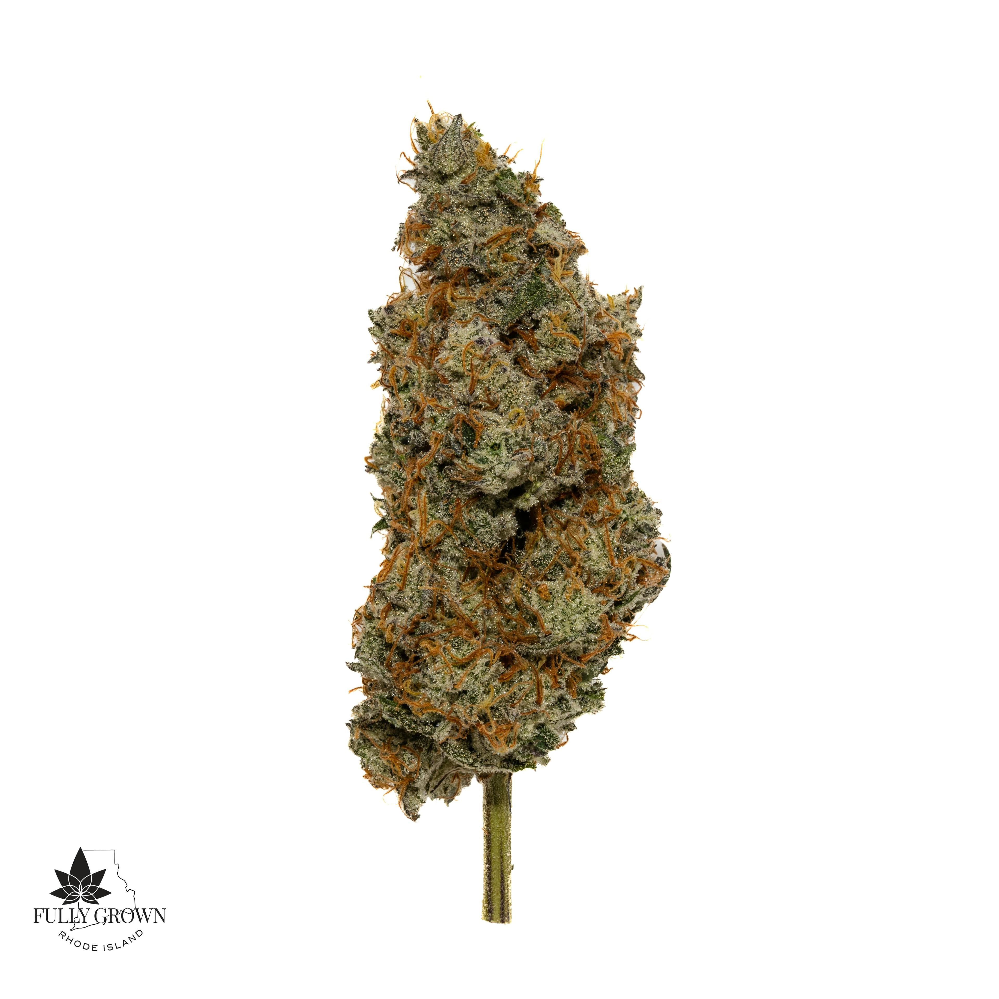 Garlic Breath