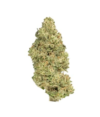 Garlic Breath