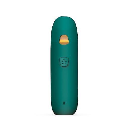 Blue Cheese Disposable