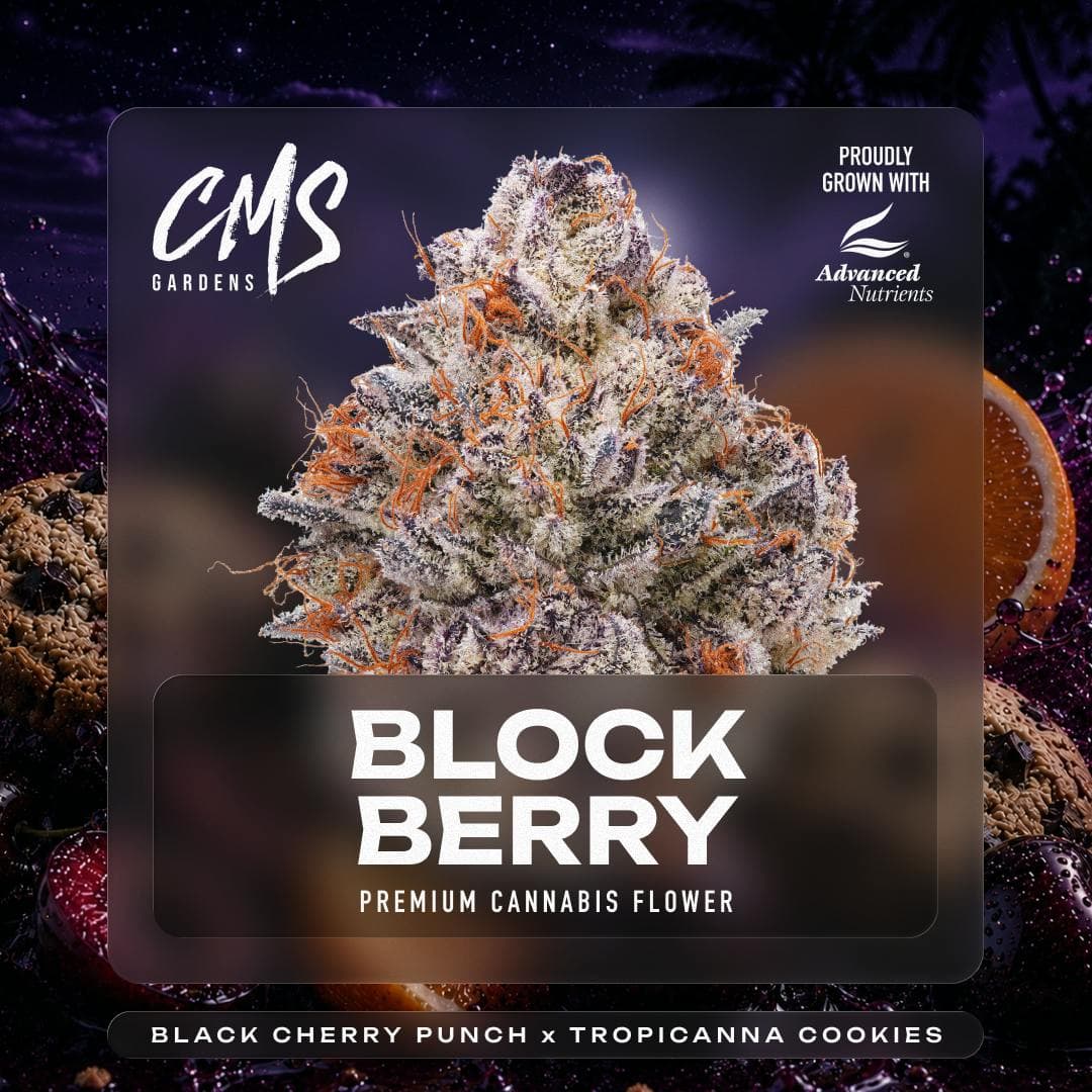 Blockberry