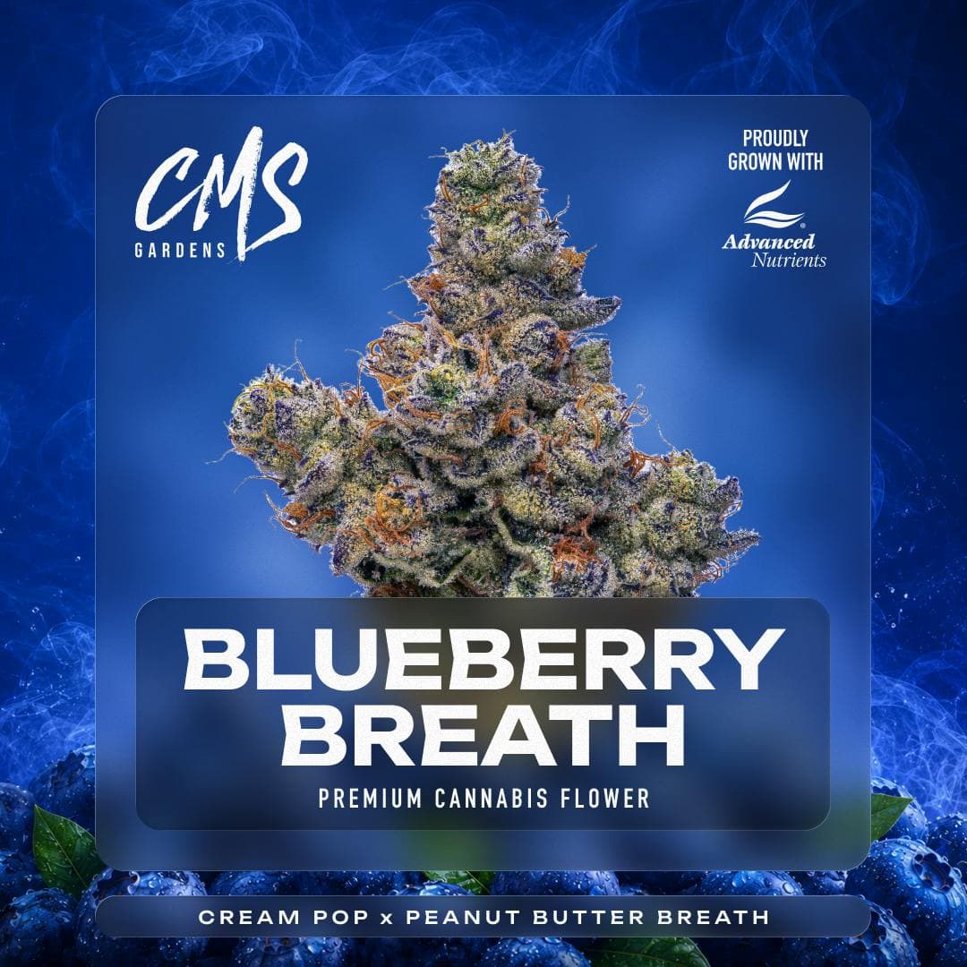 Blueberry Breath