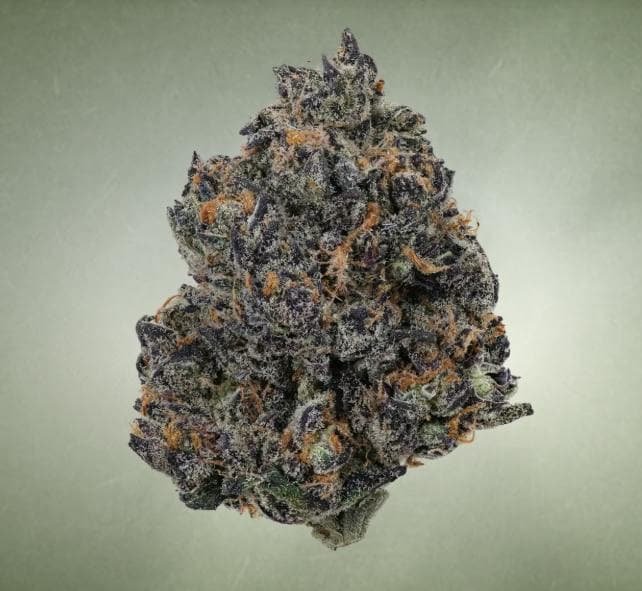 Bud Bar | Tropicana Cherry
