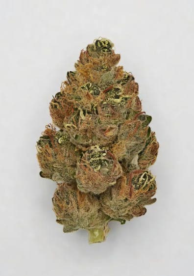 Alien Cookies