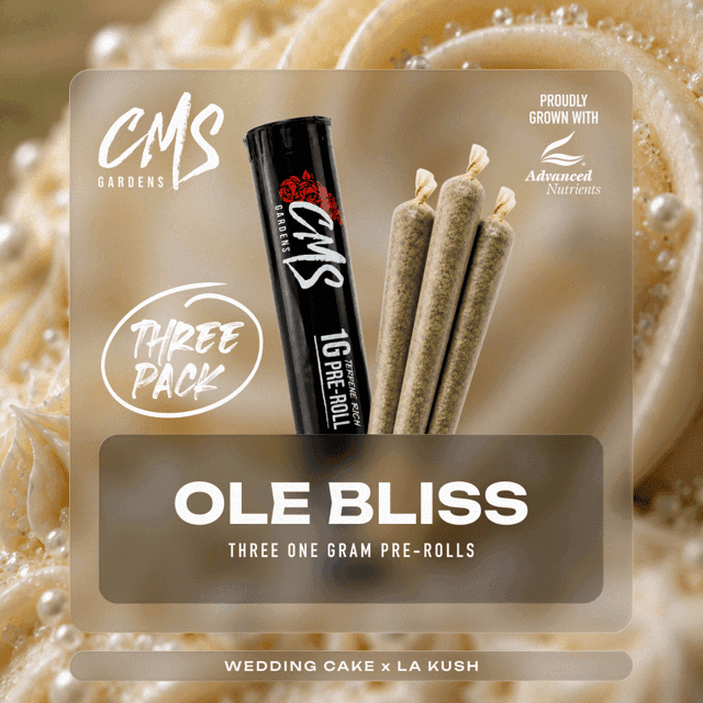 Ole Bliss