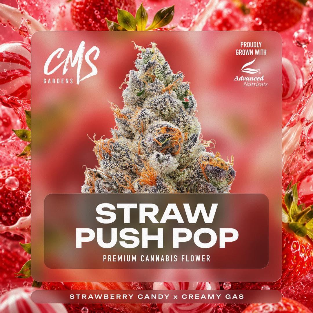 Strawberry Push-Pop