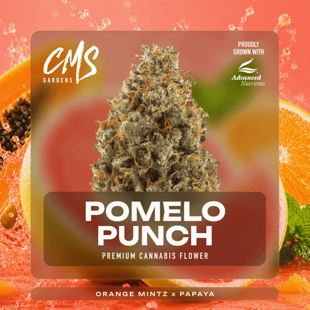 CMS Gardens - Pomelo Punch Bud Bar