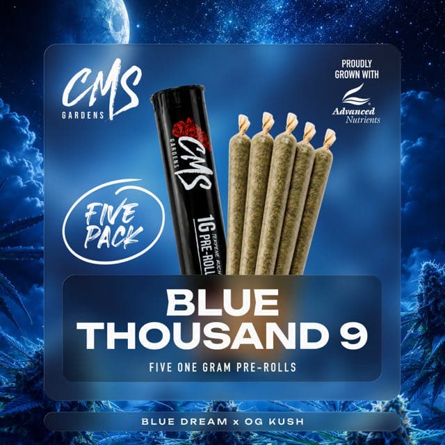 Bluethousand9 5pk