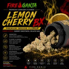 Lemon Cherry BX