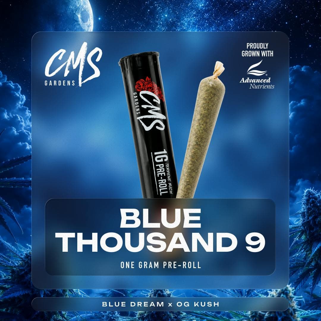 Bluethousand9