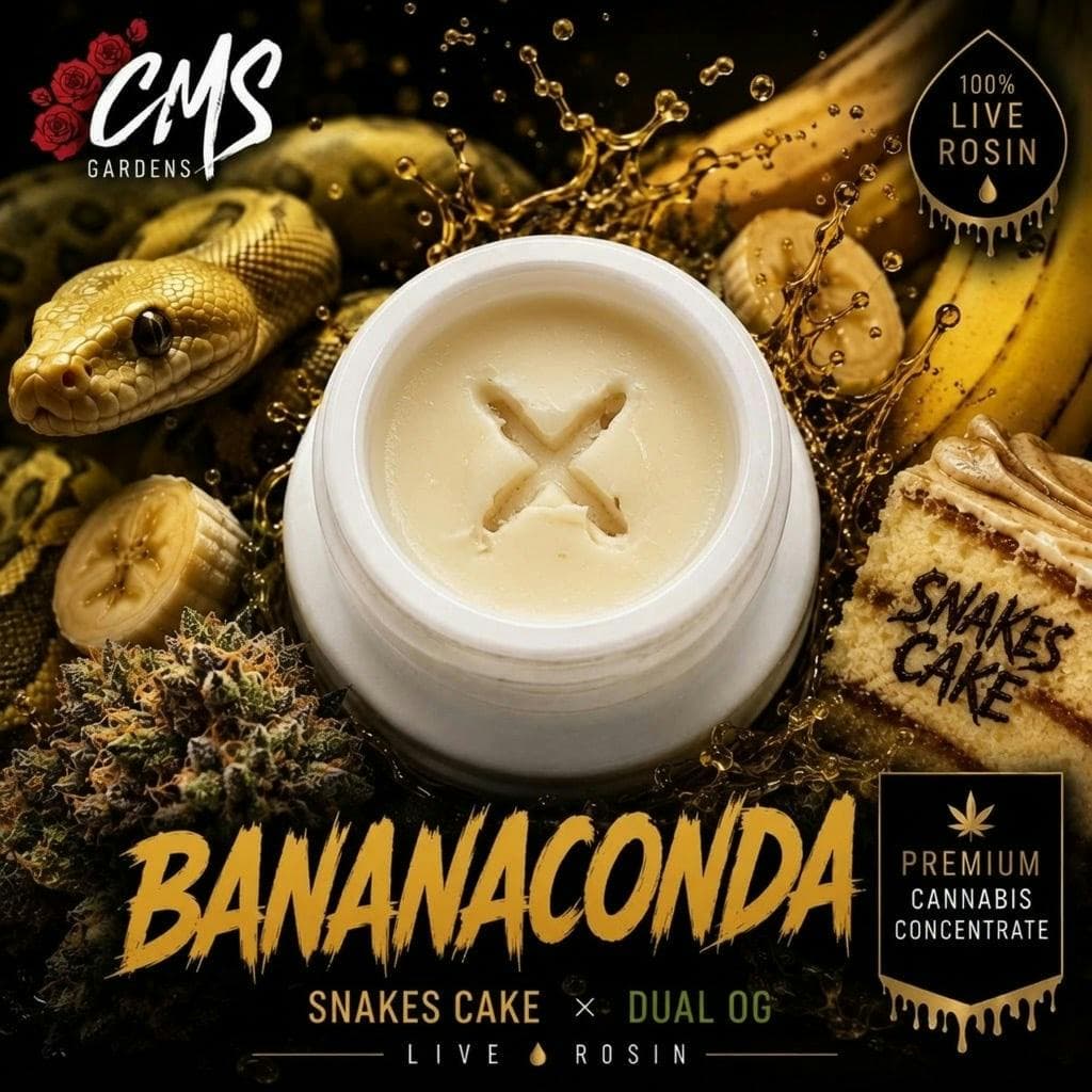 Bananaconda - Live Rosin