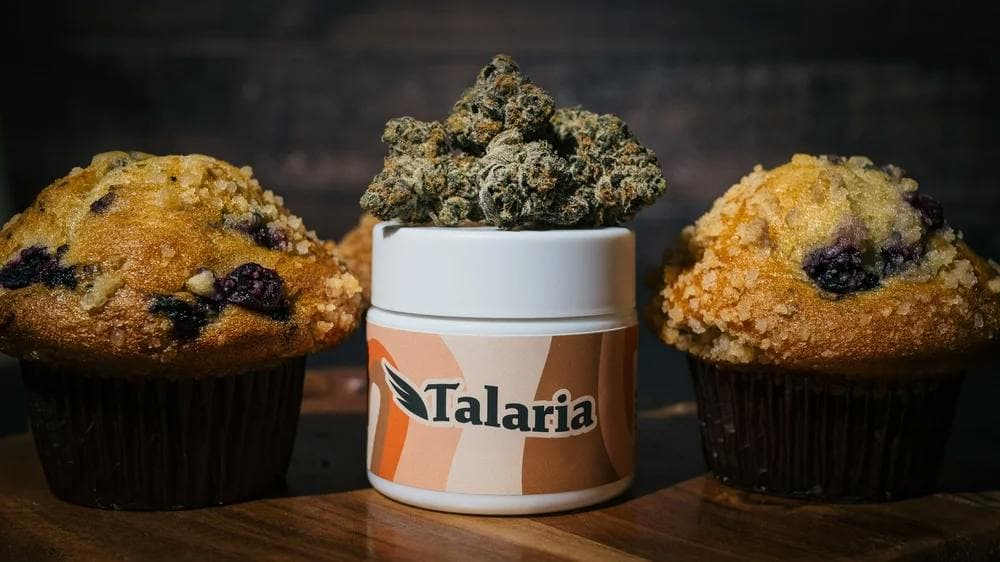 Talaria- Blueberry Muffins