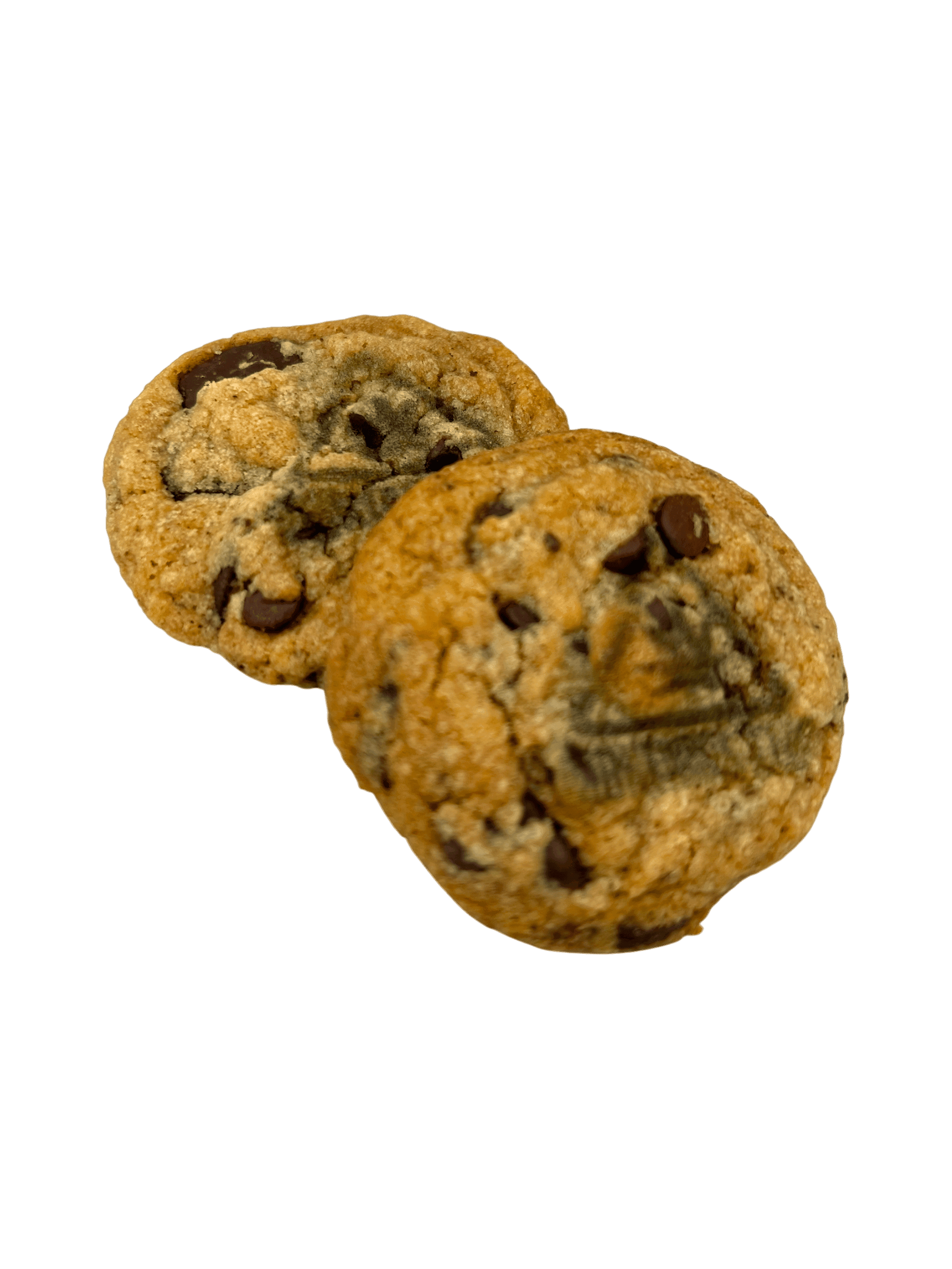 Maple Pumpkin Chocolate Chip Cookie Fast-Acting Full Spectrum 10mg 2-pack