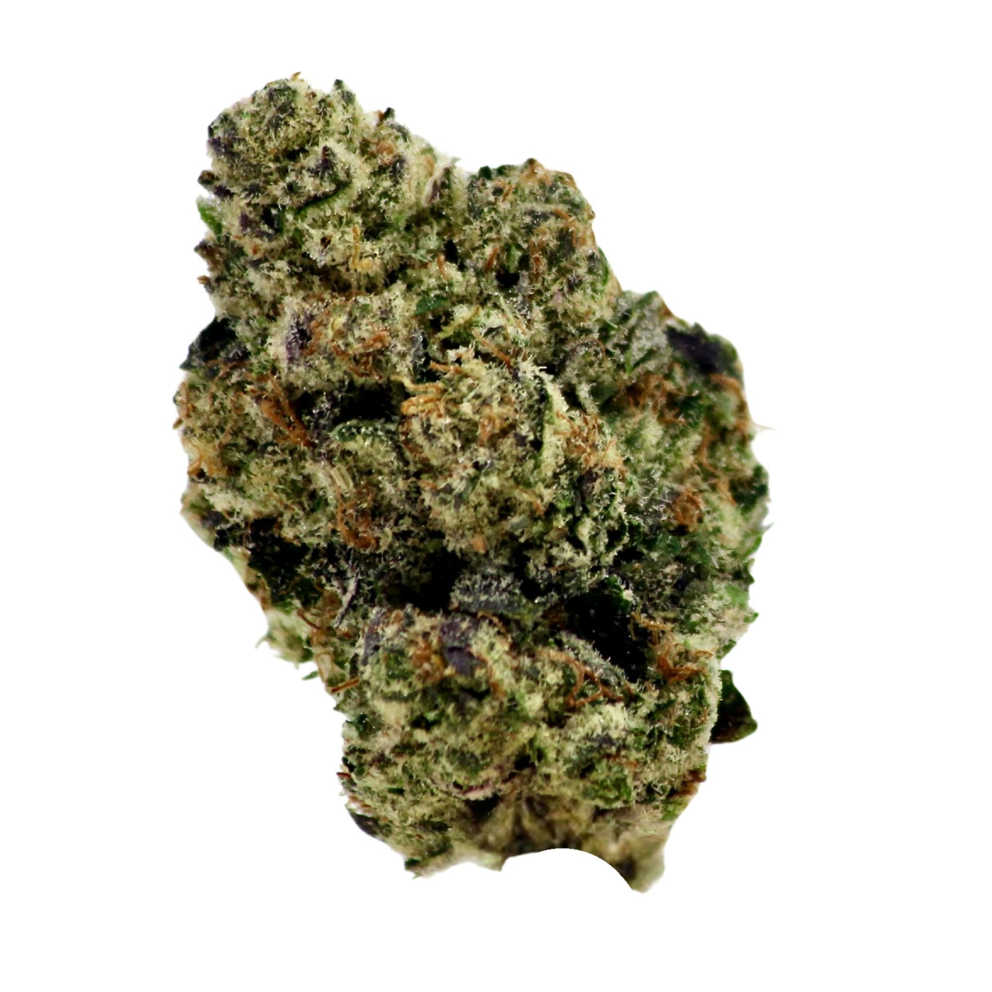 Holy Grail Gelato OG #3