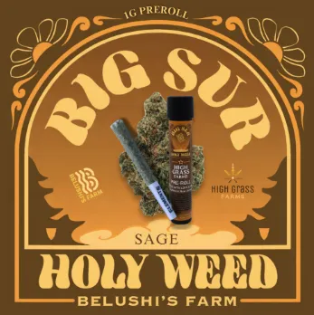 Sage - 1g 5pk