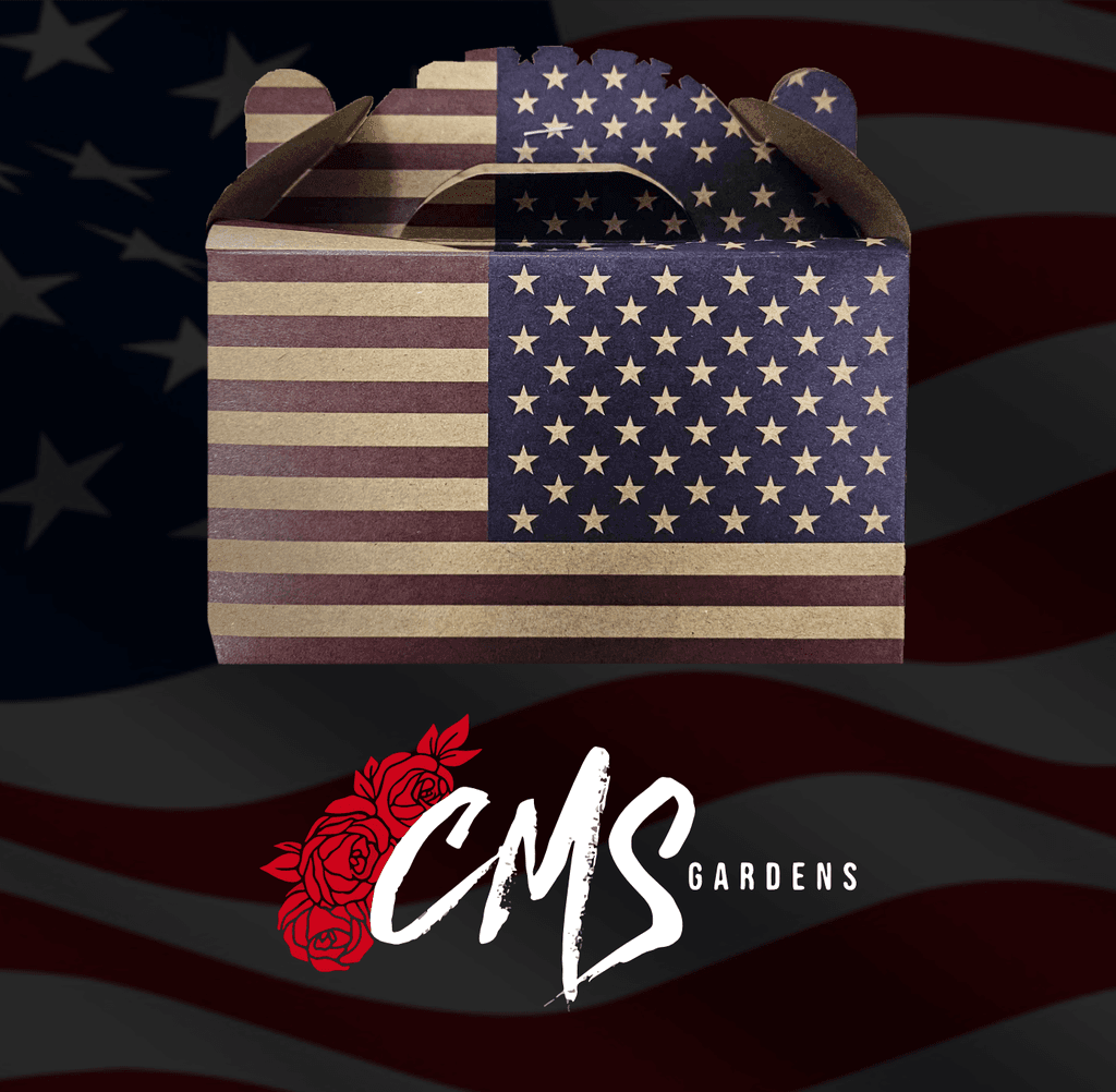 Fourth Of July Cookout - Kit