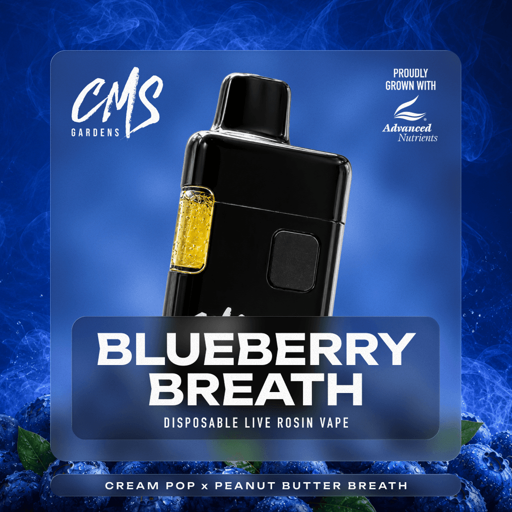 Blueberry Breath