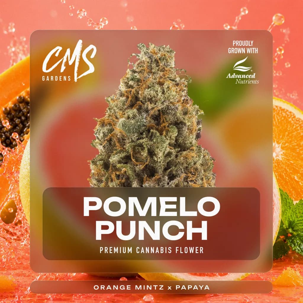 Pomelo Punch