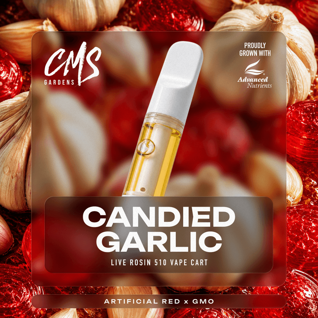Candied Garlic - .