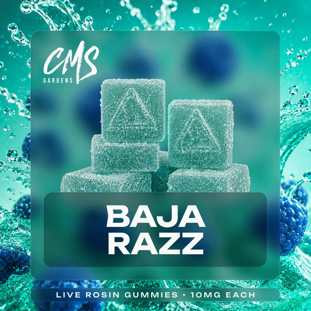 Baja Razz - 10mg 10pk