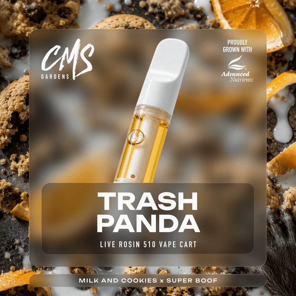 Trash Panda