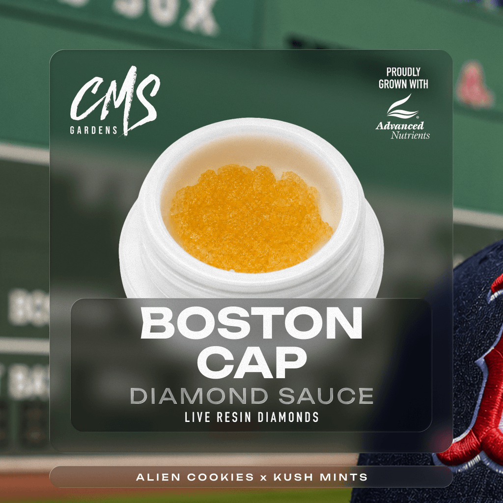 Boston Cap Diamond
