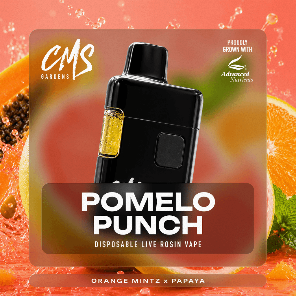 Pomelo Punch