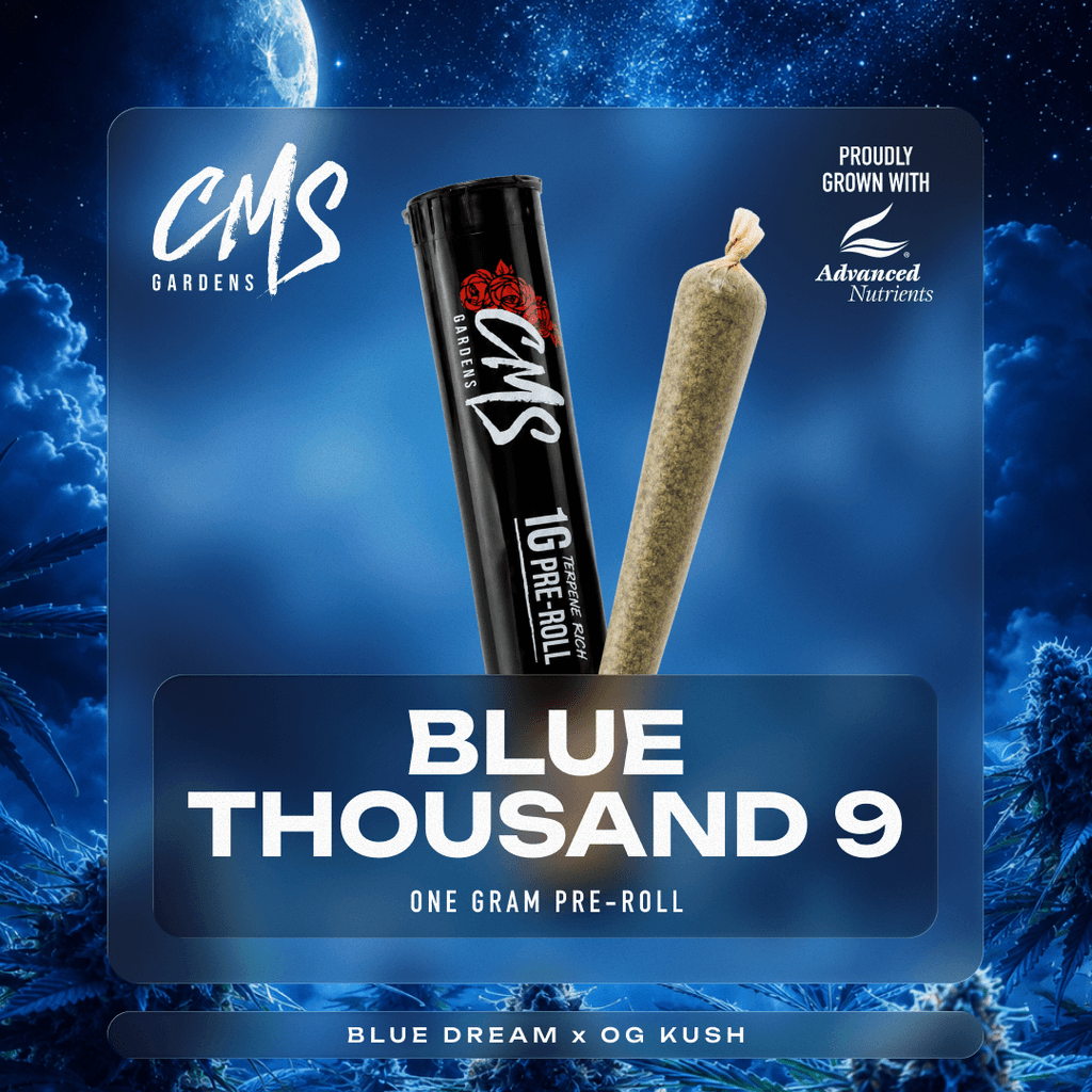 Blue Thousand 9 - Single
