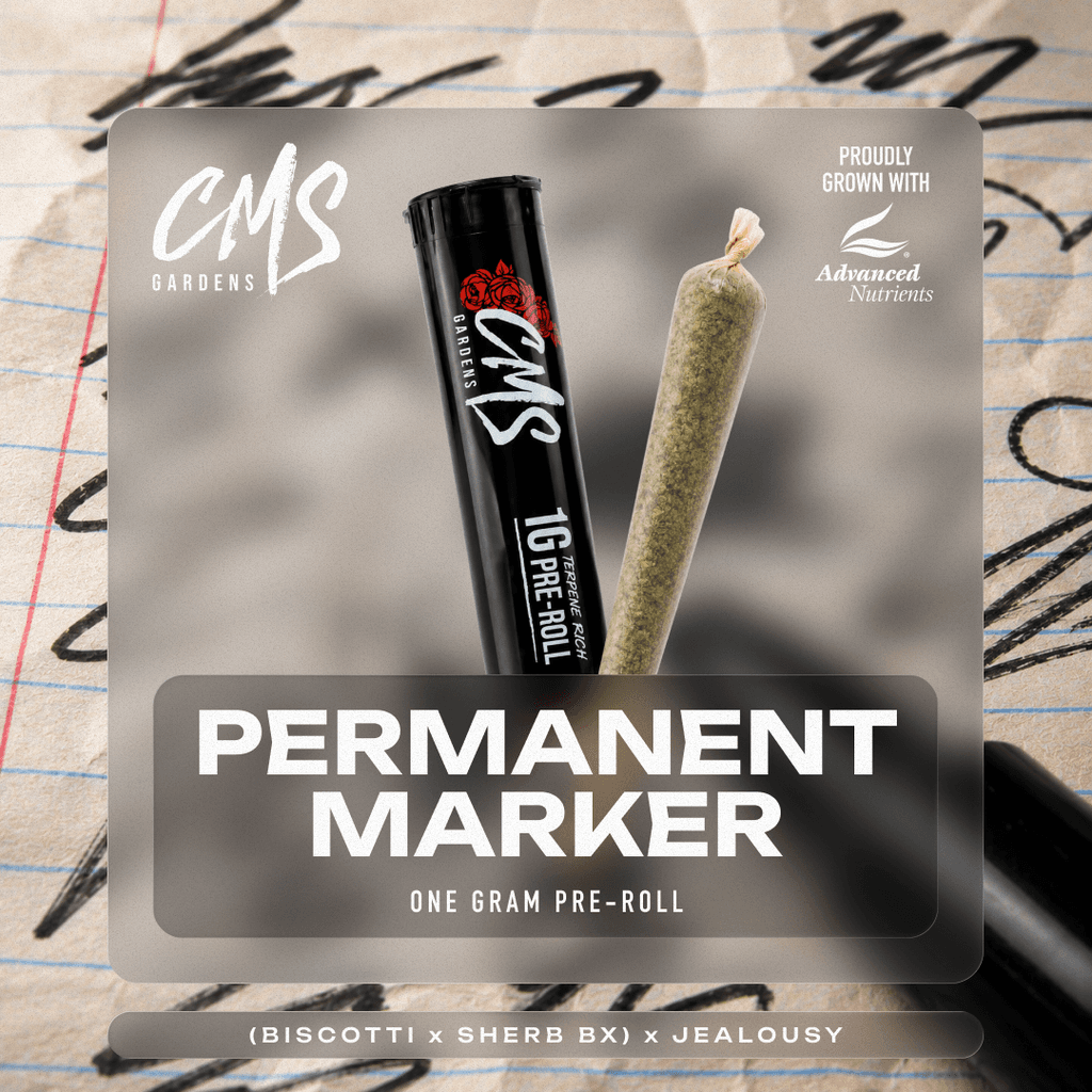 Permanent Marker - Single