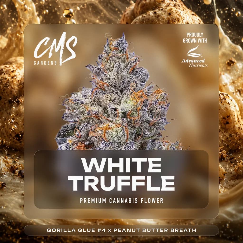 White Truffle