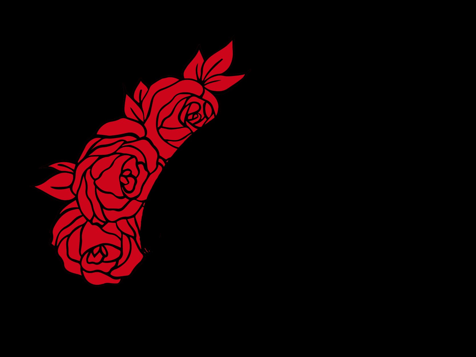ZM8
