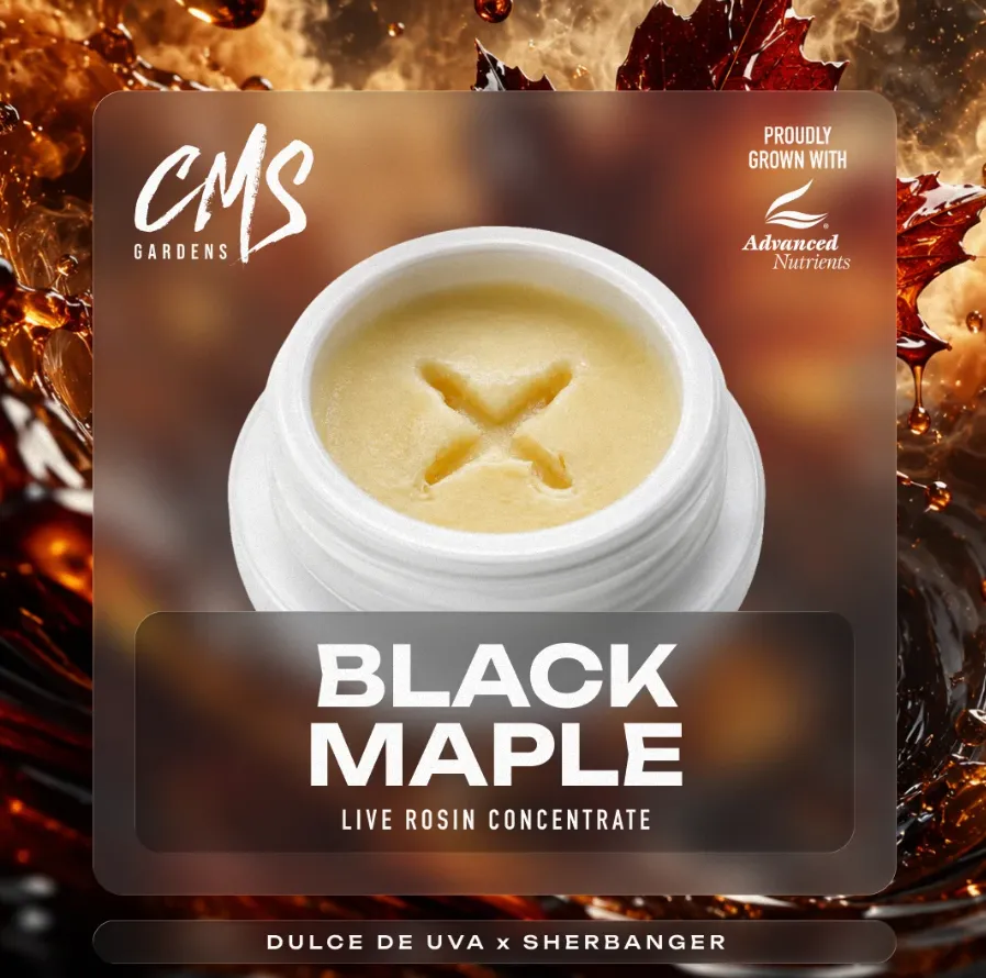 Black Maple