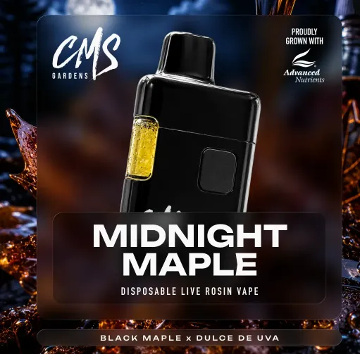 Midnight Maple