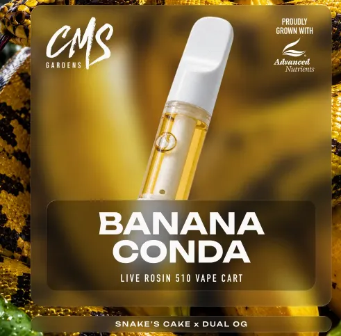 Bananaconda Live Rosin