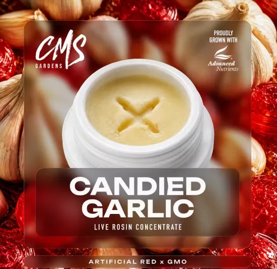 Candied Garlic