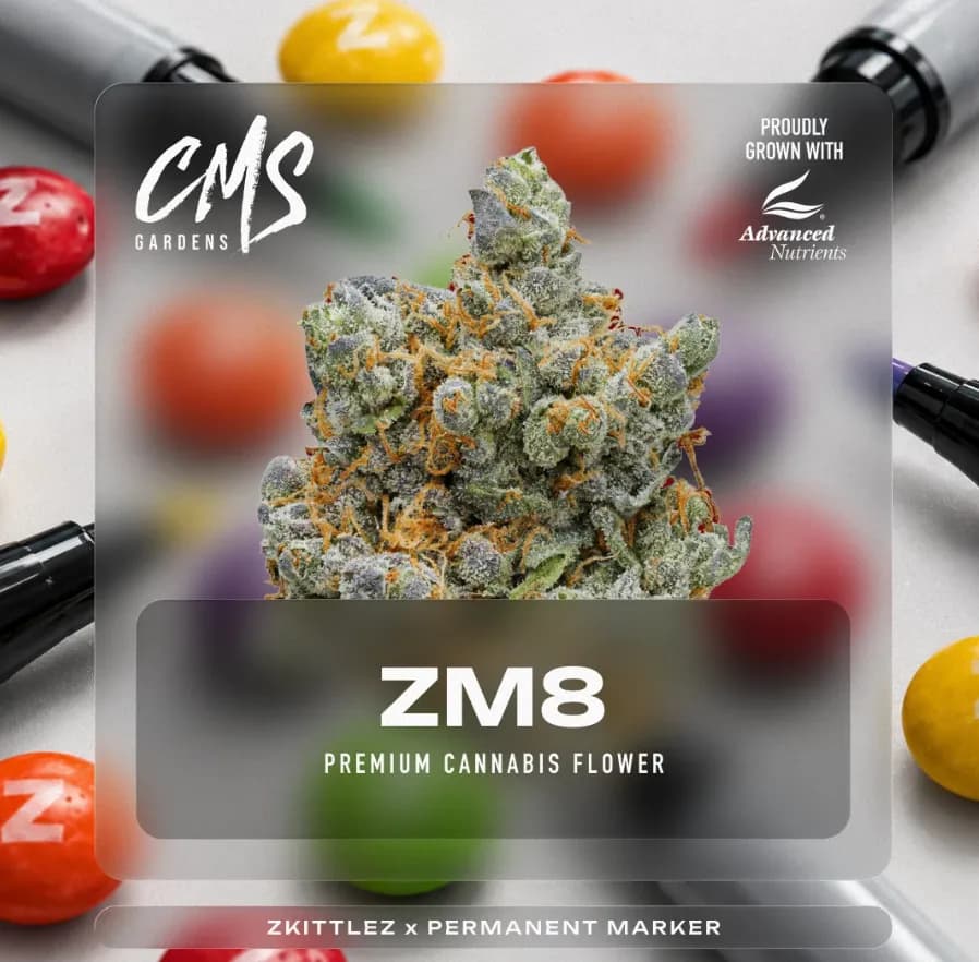 ZM8
