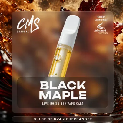 Black Maple (Cartridge)