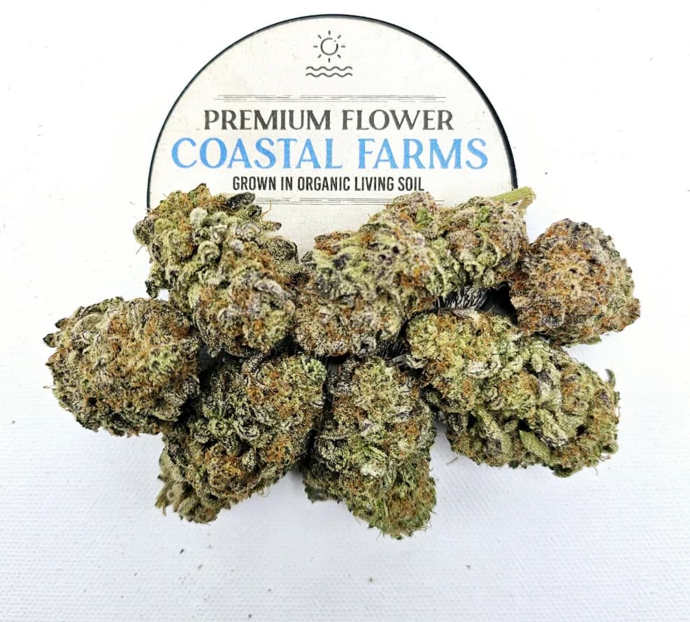 Lime Sorbet - Flower