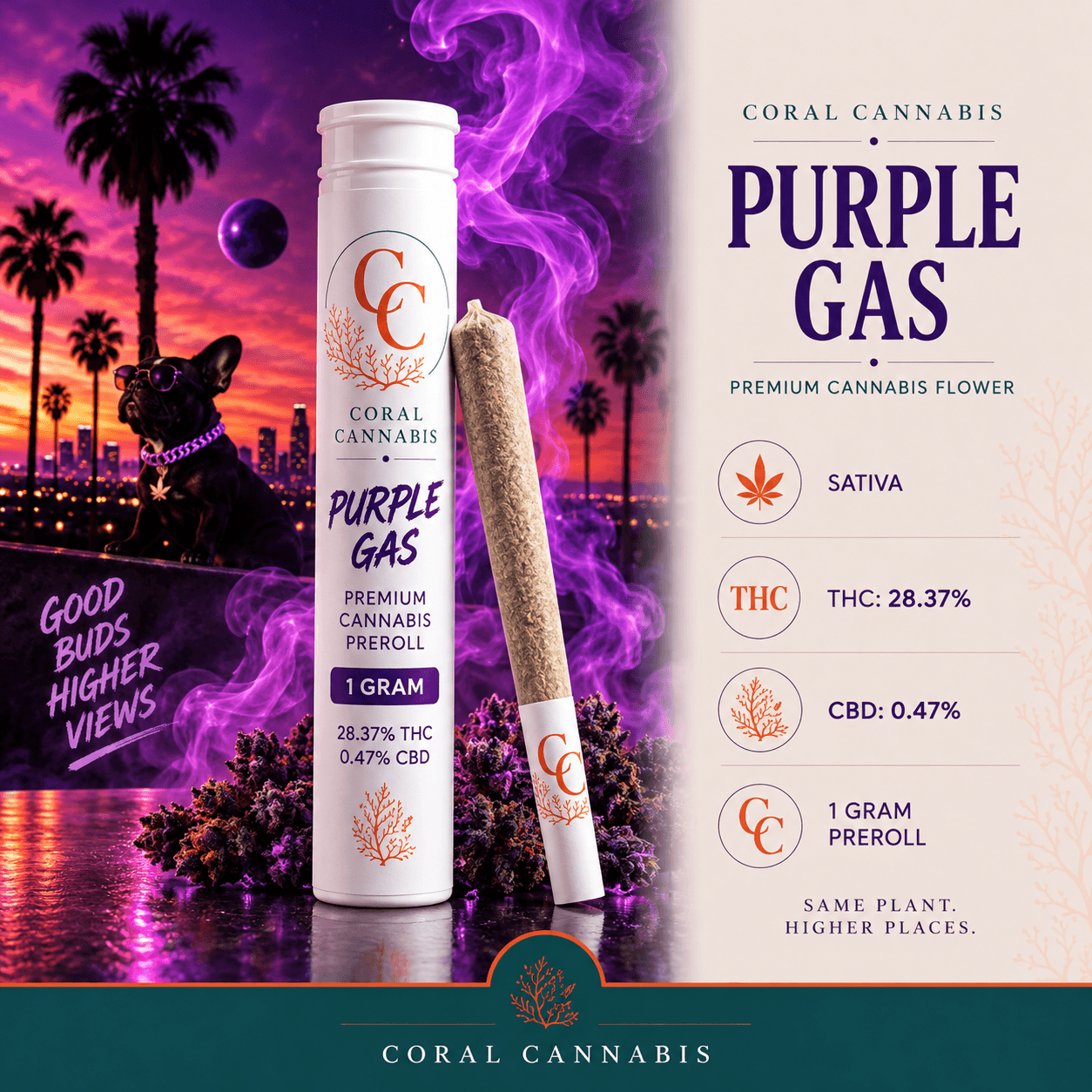 Purple Gas Pre-Roll