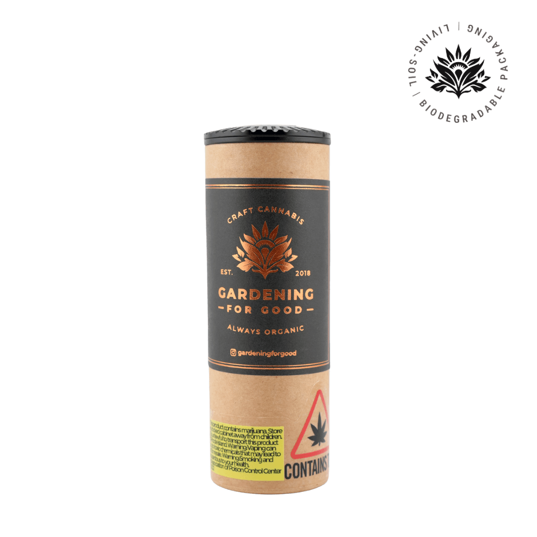 Sour Diesel - 5pk 1g Pre-Roll