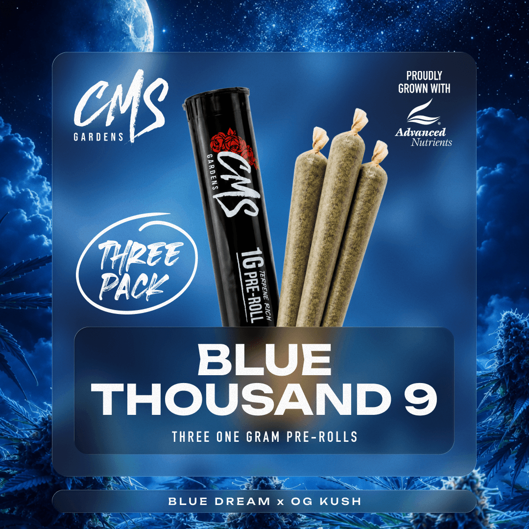 Bluethousand9 | 3pk
