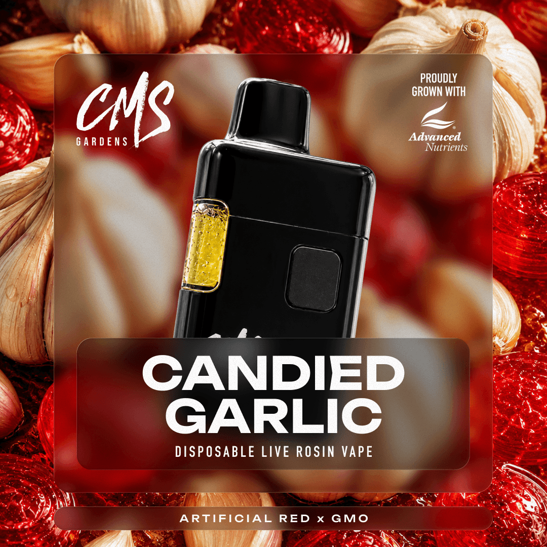 Candied Garlic Live Rosin Disposable