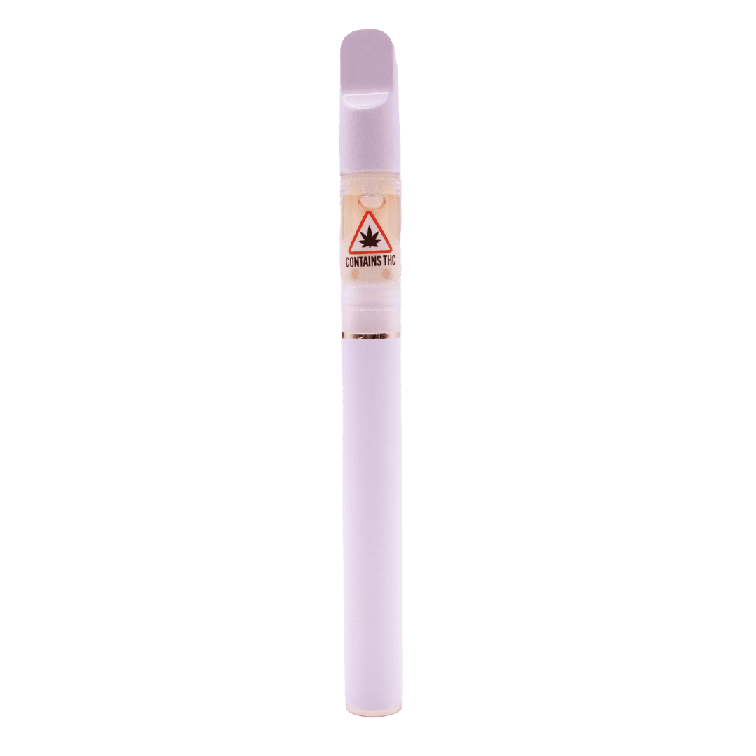 Purple Petrol - 0.5g Errl Disposable Vape