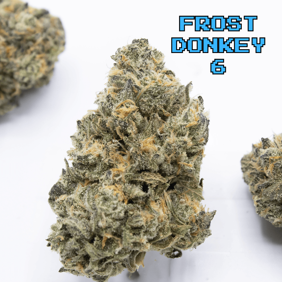 Frost Donkey #6