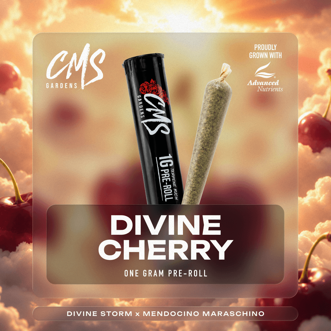 Divine Cherry - 1g Pre-Roll